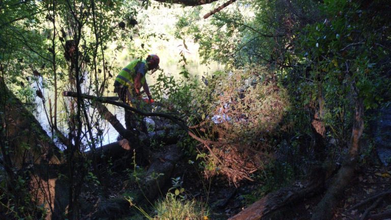 La Xunta limpia varios tramos interurbanos del río Ulla y afluentes en seis ayuntamientos de A Coruña y Pontevedra