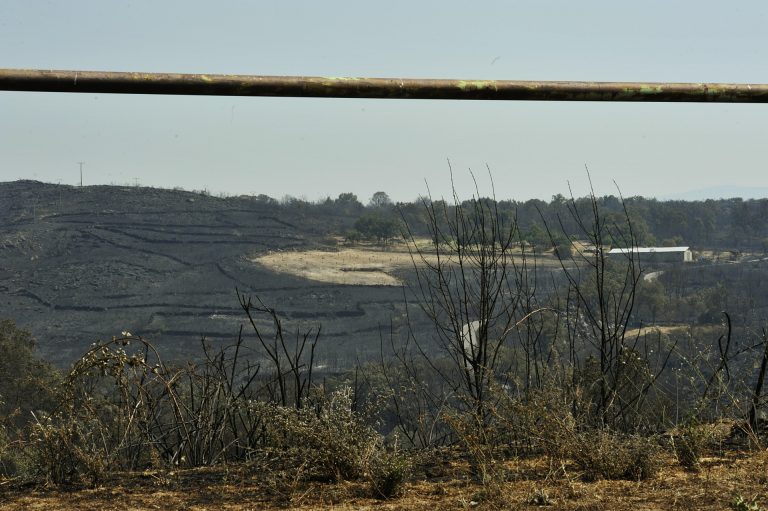 Extinguido el mayor incendio forestal en Galicia desde 2017 tras quemar unas 1.530 hectáreas en Cualedro