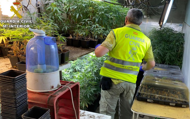 Detenido un vecino de Moraña y desmantelada una plantación ‘indoor’ de marihuana con casi mil plantas