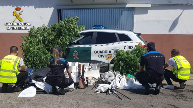 Detenido un vecino de O Porriño (Pontevedra) al que se le intervinieron 60 plantas de marihuana