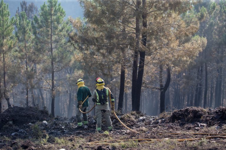 Activos cinco incendios de más de 20 hectáreas, con dos fuegos en A Gudiña y Vilar de Barrio que rebasan las 100