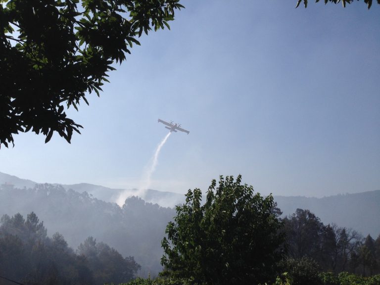Arden casi 725 hectáreas en siete incendios forestales, cinco de ellos sin control