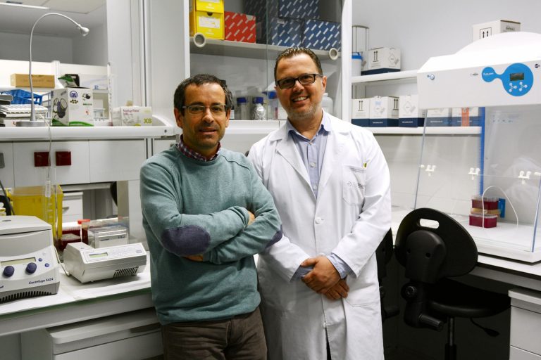 Un estudio liderado por investigadores gallegos concluye que el coronavirus pudo entrar por Euskadi en febrero