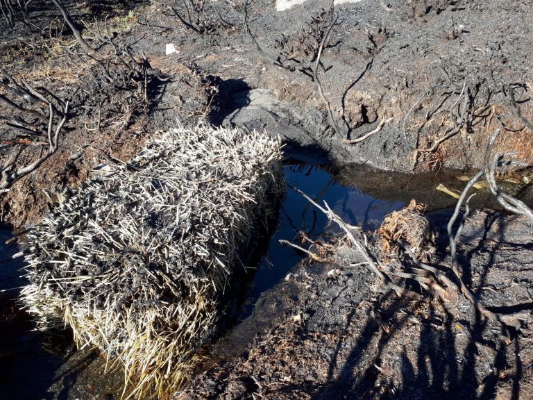 Advierten de «grave» erosión del suelo y arrastre de cenizas a cauces fluviales en Ourense tras los incendios