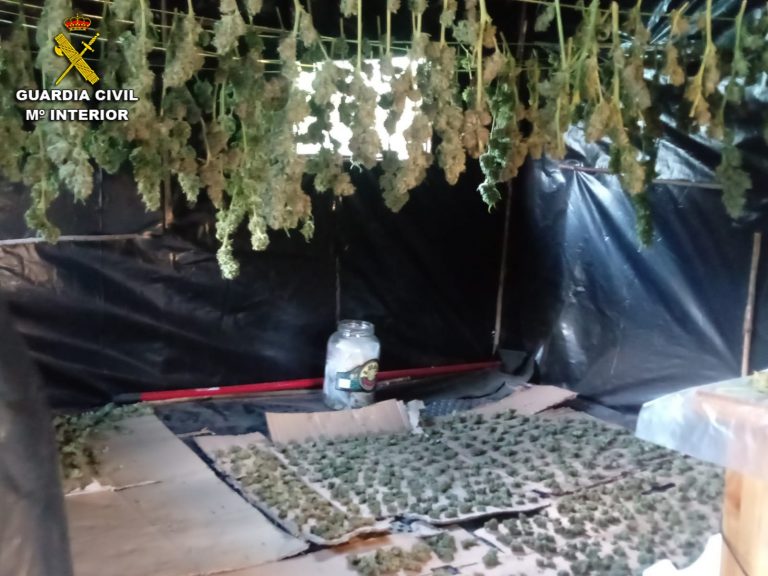 Detenido un vecino de Soutomaior y desmantelada una plantación de marihuana