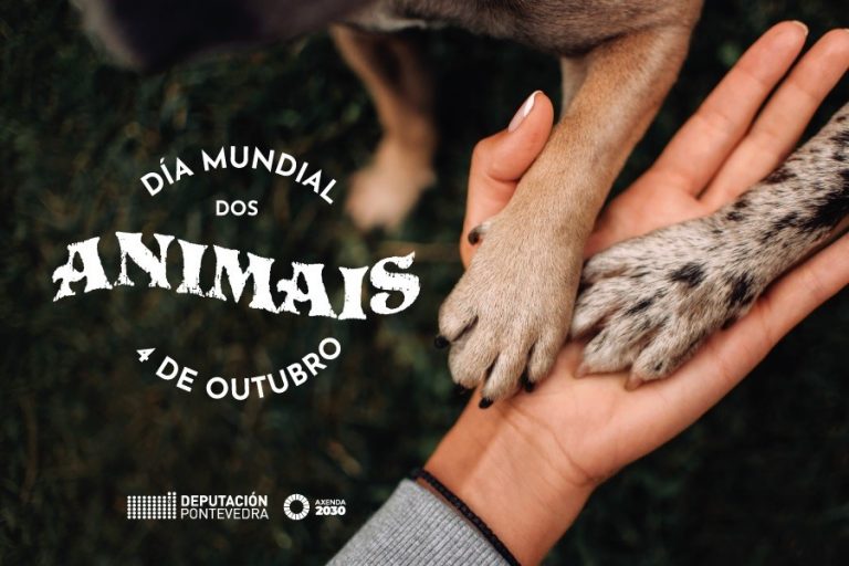 La Diputación de Pontevedra lanza una campaña ‘online’ contra el abandono centrada en su centro de acogida de animales