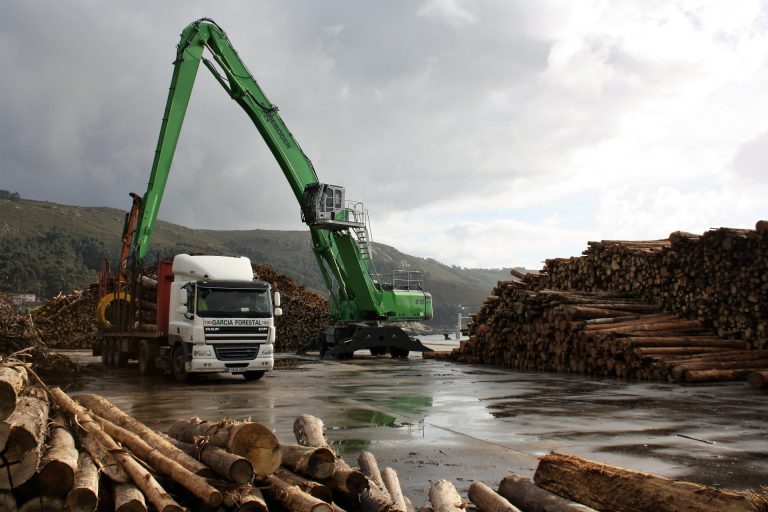 El Puerto de Ferrol roza los 8 millones de toneladas movidas, pese a la perdida del tráfico de carbón y la pandemia