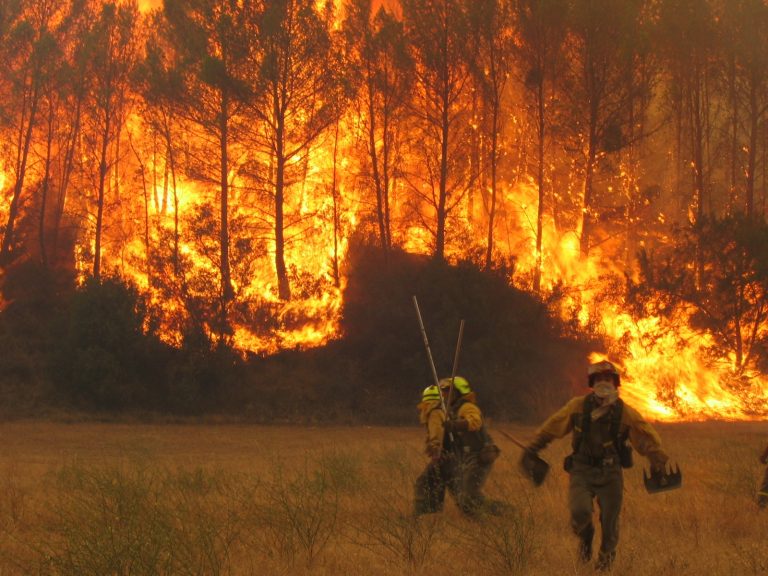 Expertos portugueses se forman en Galicia en uso de ‘helimulching’ para prevenir la erosión tras los incendios