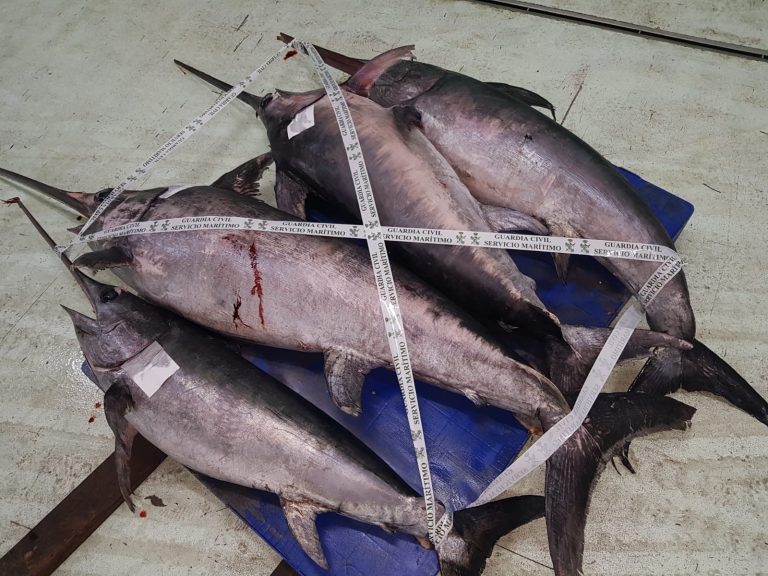 La Guardia Civil incauta casi 300 kilos de pez espada de origen irregular en el puerto de A Coruña