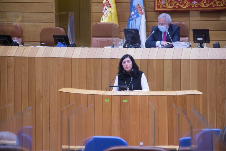 La Cámara llama al Gobierno a corregir el estatuto para electrointensivas e incluir alegaciones gallegas