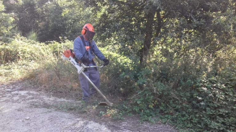 Tener abandonadas parcelas de más de una hectárea implicará multas de hasta 6.000 euros