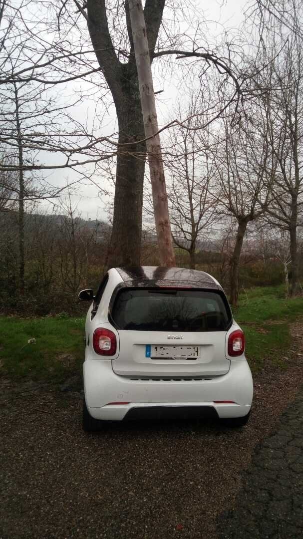 Denuncian a un sexagenario ebrio y con el carné suspendido que chocó contra un poste en Vigo