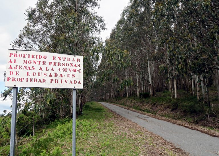 Rural.- La Xunta impulsará la «buena gobernanza» en las comunidades de montes vecinales con una línea de ayudas