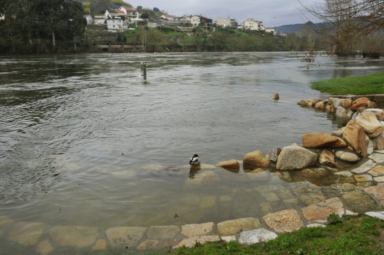 Las lluvias registradas causan el desbordamiento del río Miño en Ourense y la inundación de la zona termal