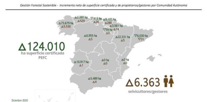 El 60% de la superficie incorporada a la certificación forestal PEFC en 2020 en España corresponde a Galicia