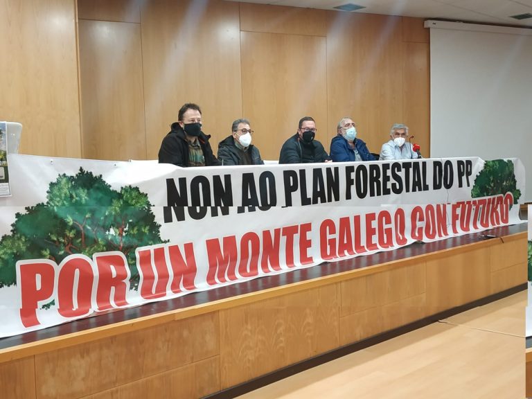 Varias entidades protestarán ante el Parlamento este martes en contra de la «eucaliptización» del plan forestal