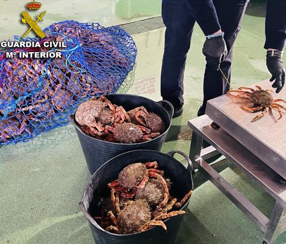 Pesca.- Interceptado un vehículo con 52 kilos de marisco indocumentado en Nigrán (Pontevedra)