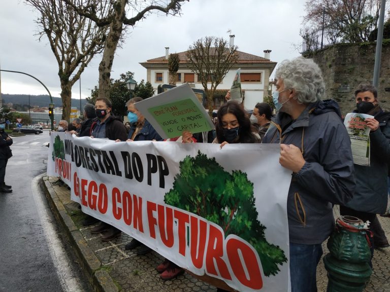 La Xunta propone suspender nuevas plantaciones de eucaliptos y la oposición pide la retirada del plan forestal