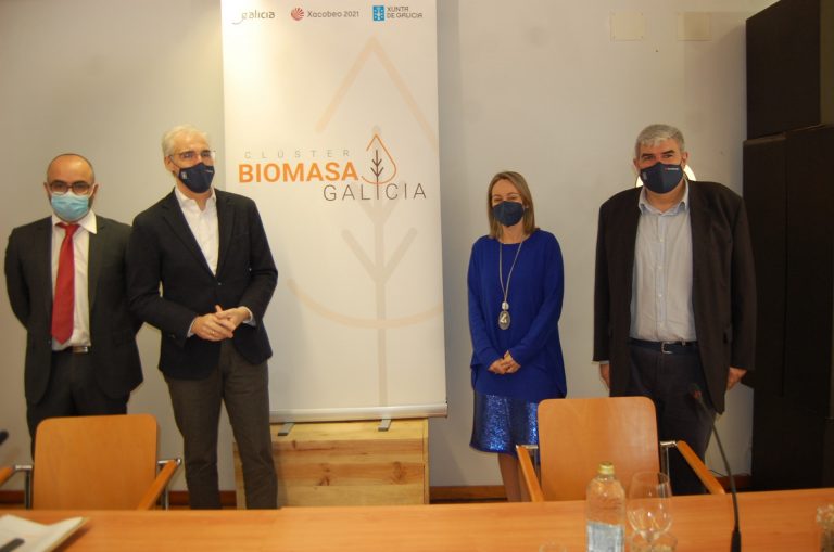 La Xunta subraya su compromiso con las energías limpias con la renovación de la estrategia de la biomasa