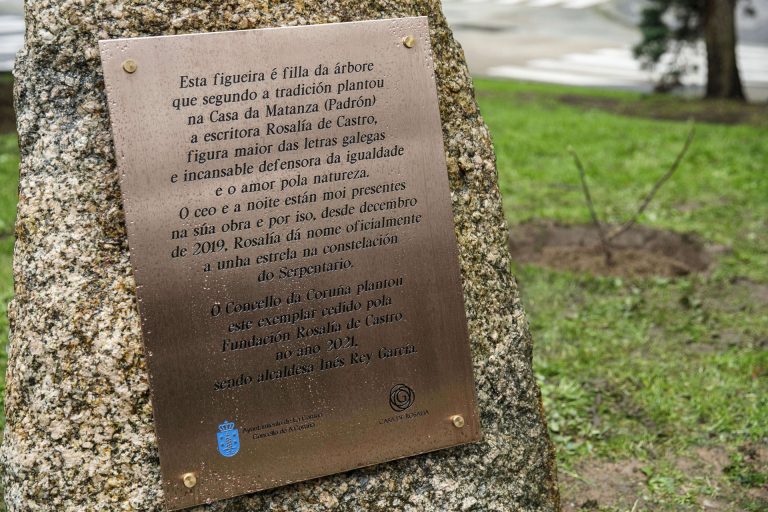 Una higuera en el parque de Santa Margarita recuerda la relación de Rosalía de Castro con A Coruña hace 150 años