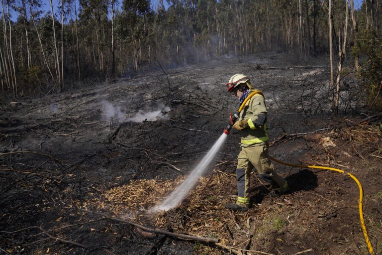 Extinguido el incendio forestal de Agolada  tras quemar cerca de 20 hectáreas