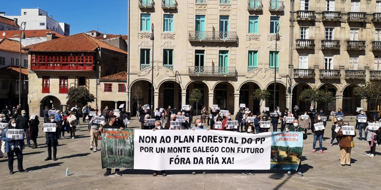 La movilización en Pontevedra contra el Plan Forestal carga contra la presencia de Ence: «Fuera de la ría ya»