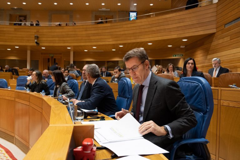 Feijóo se reunirá con los líderes del BNG y PSdeG en sendas citas bilaterales el próximo viernes 26