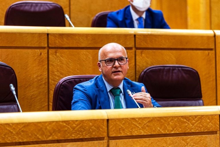 El presidente de la Diputación de Ourense solicita en el Senado que «se legisle con perspectiva demográfica»