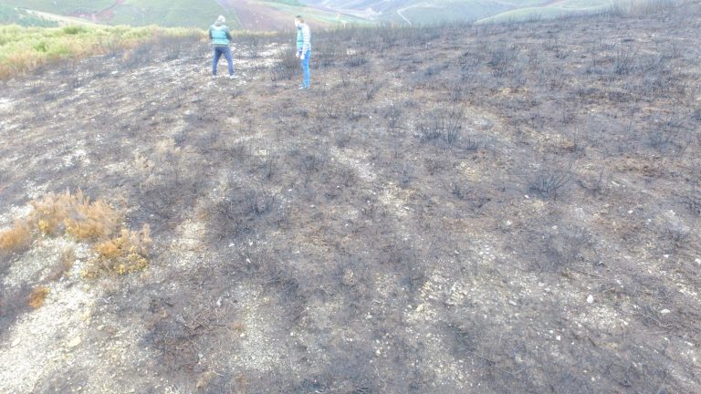 Los incendios forestales registrados en Galicia afectan a unas 500 hectáreas, de ellas 280 en Folgoso do Courel