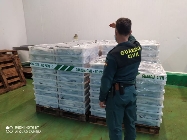 La Guardia Civil decomisa 8.000 kilos de caballa en A Mariña (Lugo)