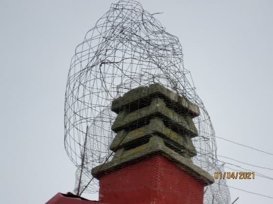 Ecologistas denuncian la desaparición de varios nidos de cigüeña en Chantada