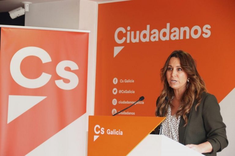 Pino avisa que Ciudadanos «no va a permitir» que BNG y PSdeG usen el Estatuto de Autonomía «para romper Galicia»
