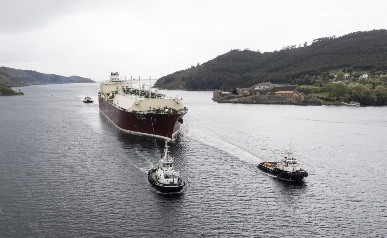 La autoridad portuaria mantiene su actividad en niveles similares a los de 2020 con las importaciones de gas natural