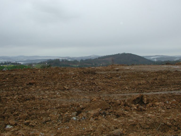 La UE invierte 800.000 euros un proyecto de fitotecnologías para recuperar suelos contaminados, liderado desde Galicia