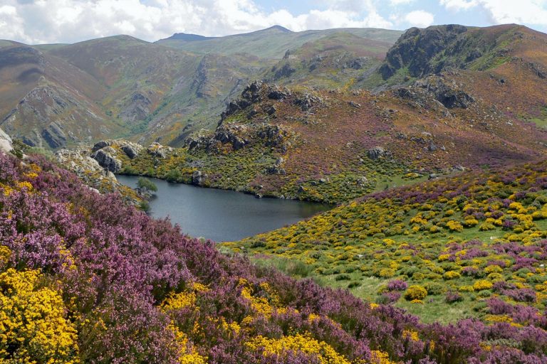 La Asociación Salvemos Cabana ve los proyectos de parques eólicos «incompatibles» con el turismo rural en Pena Trevinca
