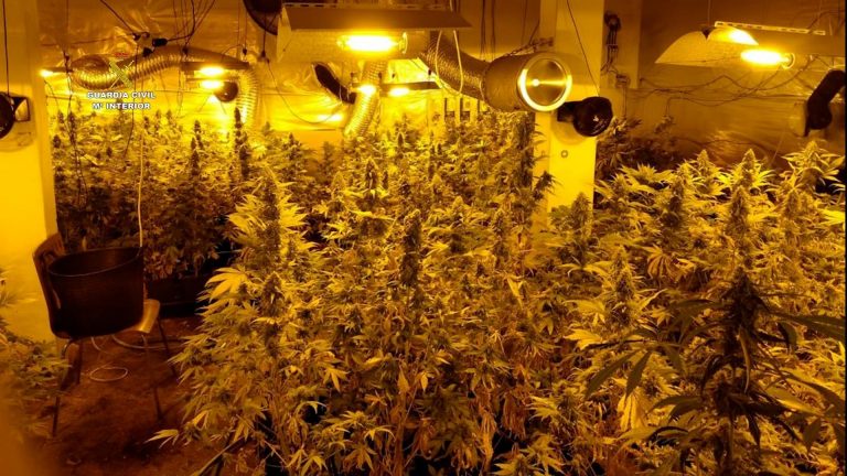 Detenidos dos vecinos de A Coruña y desmantelada una plantación ‘indoor’ de cannabis