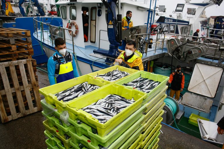 El cerco gallego se desplaza a Asturias en busca de bocarte tras abandonar el cardumen la costa lucense