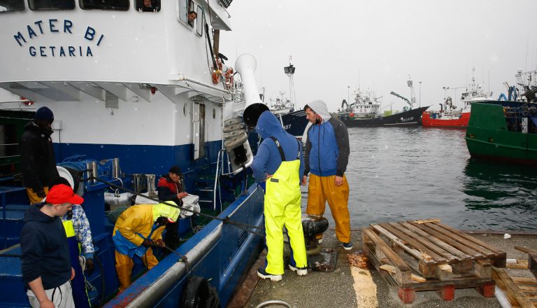 La campaña de la sardina comienza este lunes con un cupo de 7.193 toneladas para España