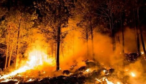 Ecologistas denuncian ante Fiscalía incendios «producidos» por quemas de la Consellería de Medio Rural