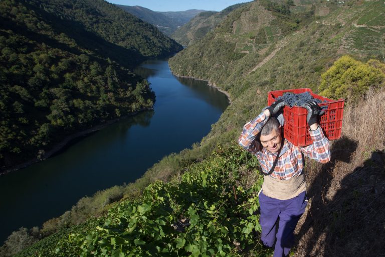 La Unesco informa favorablemente para que la Ribeira Sacra sea Reserva de la Biosfera a finales de verano