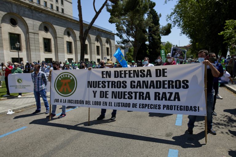 Galicia Baleira denuncia la «imposición» del Gobierno en su plan sobre la protección del lobo