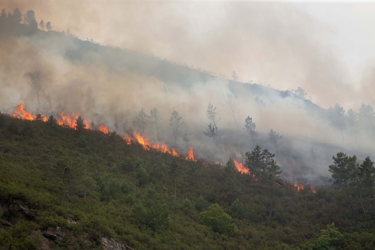 Los incendios en Folgoso y en Salvaterra continúan activos y arrasan ya más de 400 hectáreas