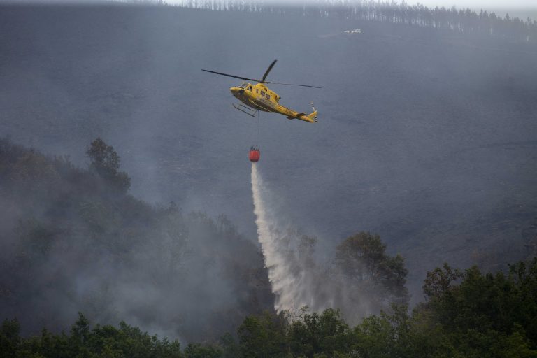 Controlados los incendios de Salvaterra de Miño y Folgoso do Courel tras arder 510 hectáreas