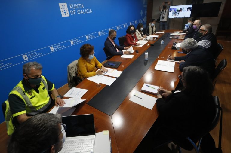 Rural.- La Xunta estudiará declarar la emergencia cinegética temporal en zonas de Galicia para afrontar daños del jabalí