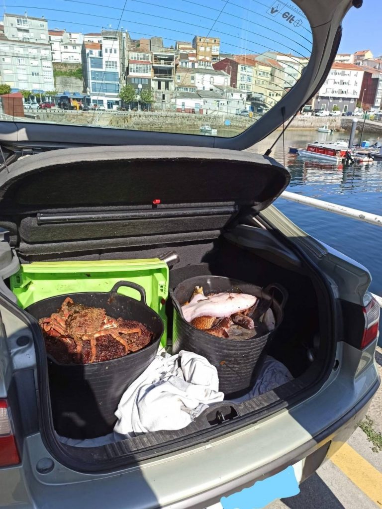 Pesca.- Interceptadas 30 centollas y 37 kilos de pescado en un operativo contra el furtivismo en Fisterra (A Coruña)