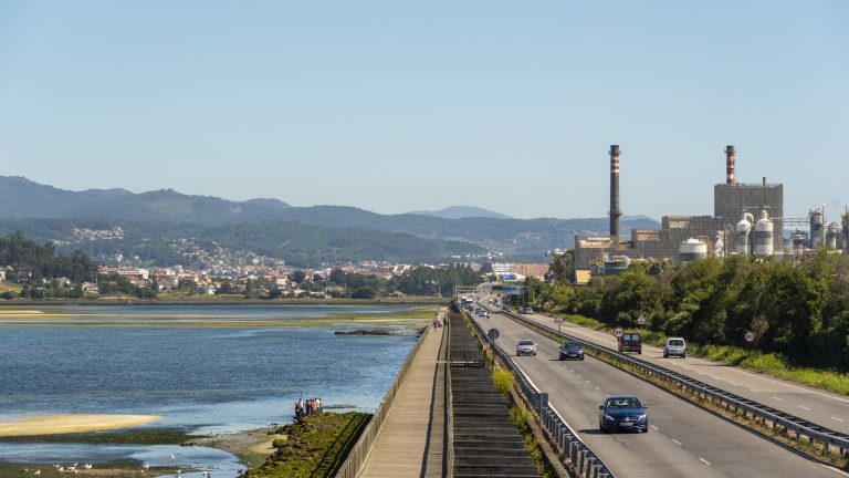 El delegado del Gobierno espera que Ence presente en breve los estudios de traslado de la fábrica a otras áreas