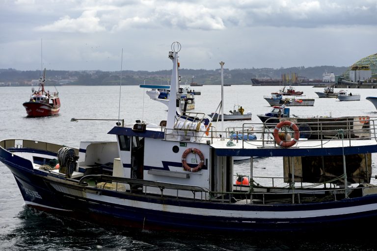 Galicia tacha de «insuficientes y nimios» los cambios de los 27 en el futuro reglamento de control pesquero