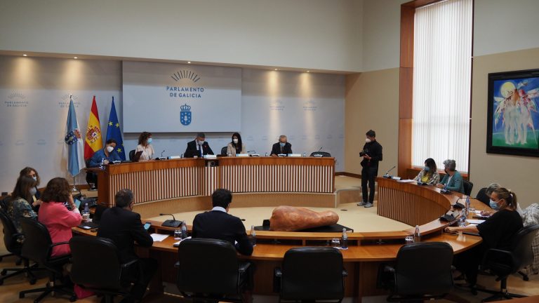 Los candidatos al consejo de administración de la CRTVG defienden ante la Cámara su compromiso con los medios públicos