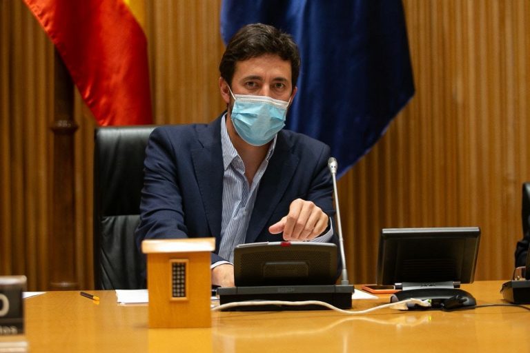 Cvirus.- Unidas Podemos vuelve a pedir la suspensión temporal de las granjas de visón tras los nuevos brotes de covid