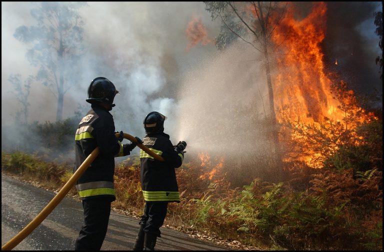 Sanidade priorizará ya a los efectivos de extinción de incendios en Galicia y aborda otros colectivos